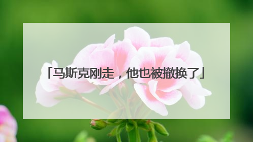 马斯克刚走，他也被撤换了